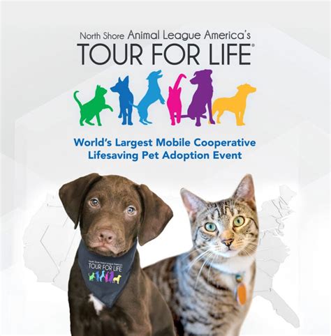 north shore animal league america sweepstakes|North Shore Animal League America Sweepstakes Reviews.